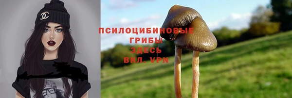 круглые Аша